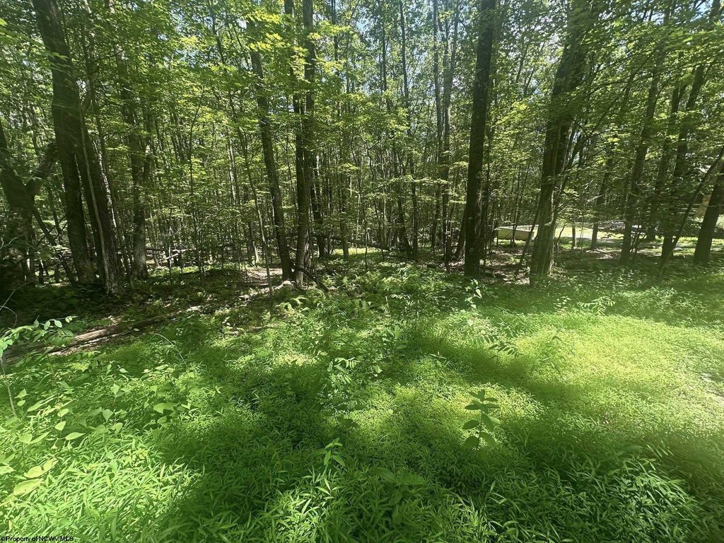 Picture 6