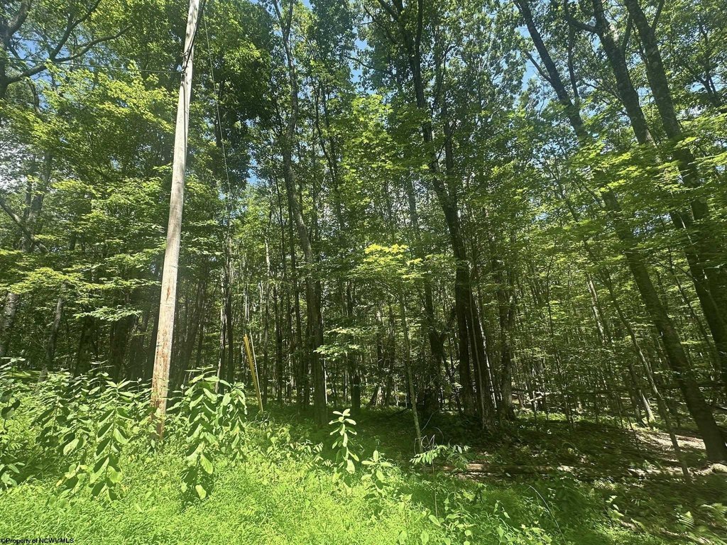 Picture 8