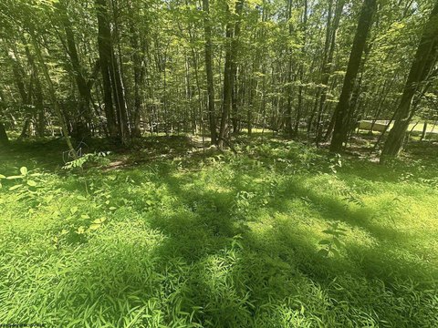 LAND - Terra Alta, WV