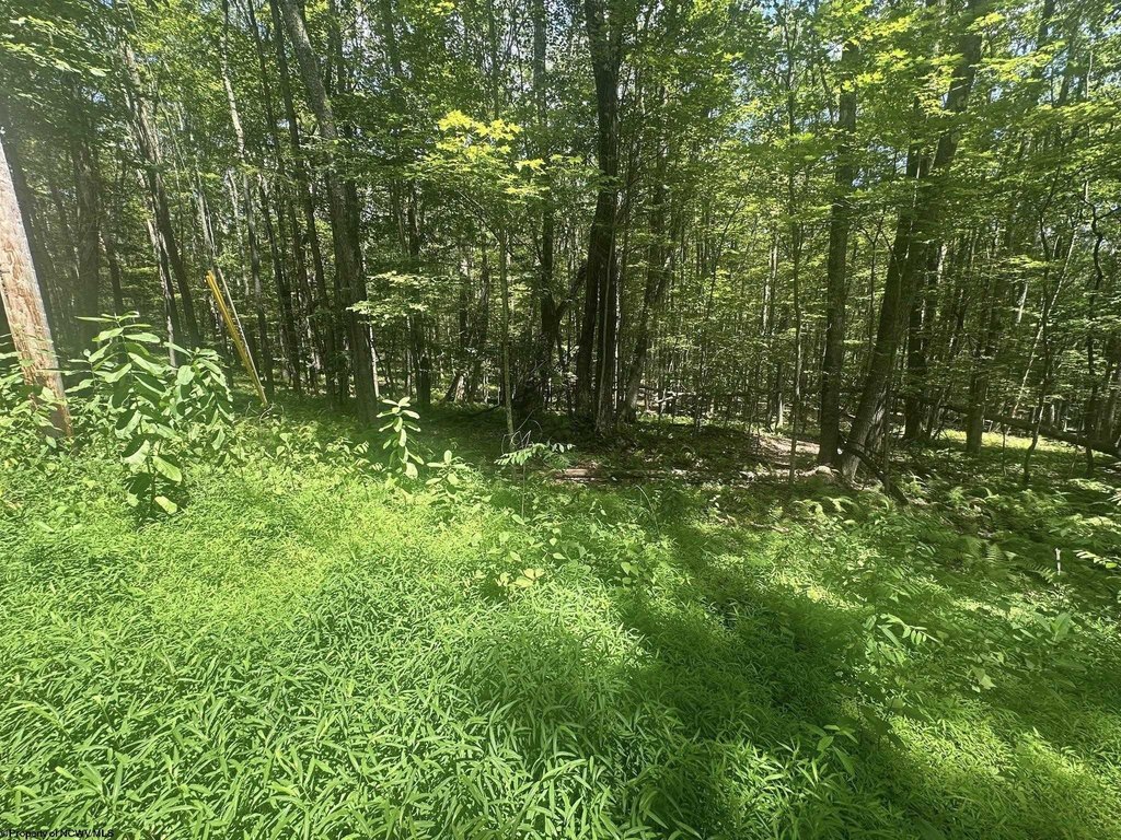 Picture 4