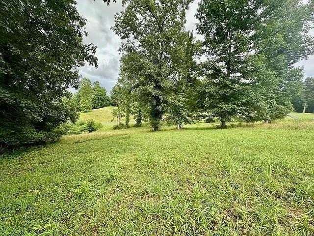 Residential Lot with Mountain Views