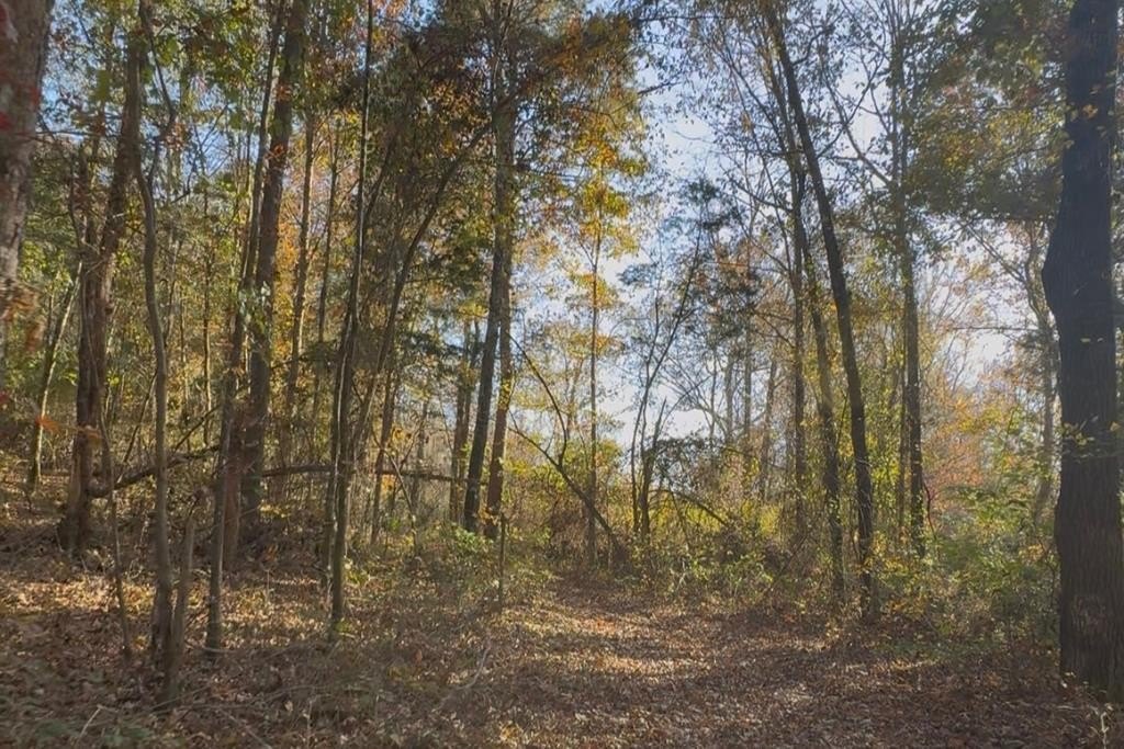 Land in Abbeville, Mississippi