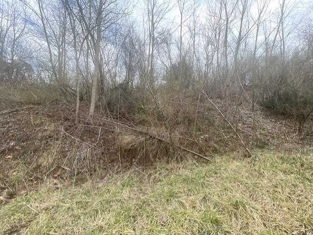 Picture 12