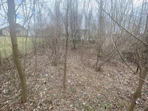 Residential Building Lot in Fishersville