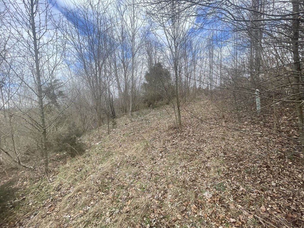 Picture 3