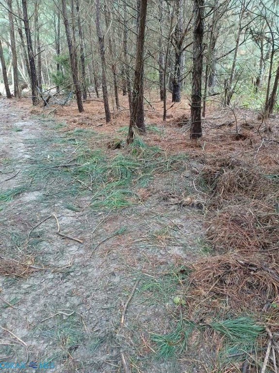 100+ Acres Near Colonial Beach