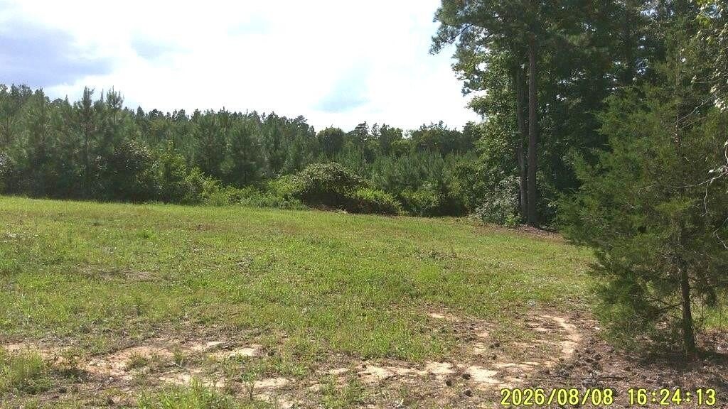 Picture 20