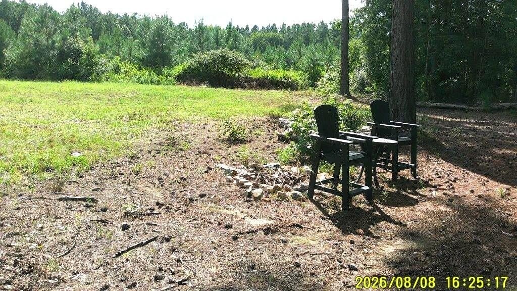 Picture 21