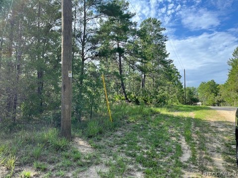 LAND - Dunnellon, FL