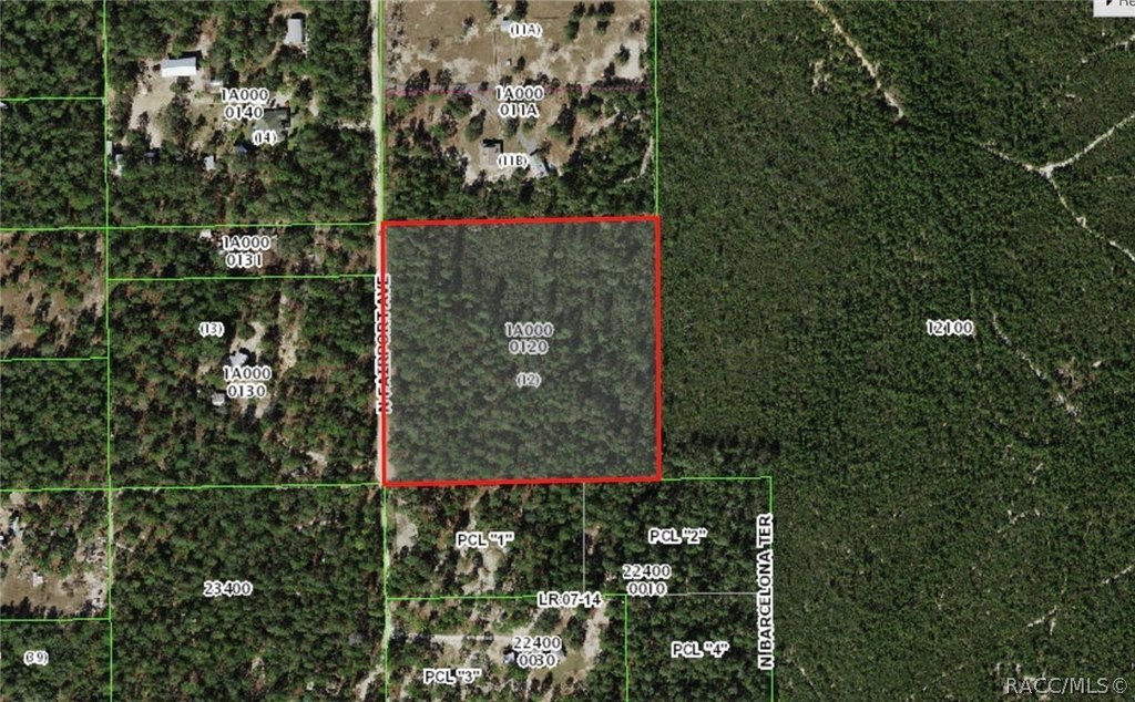 Picture 4