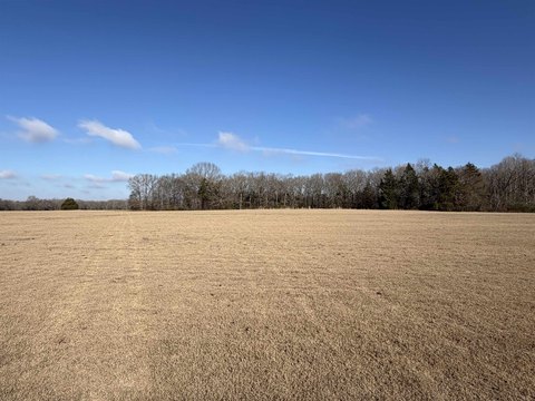 Scenic Pastureland Homesite Opportunity