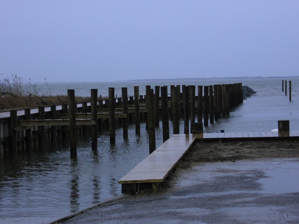 Picture 5