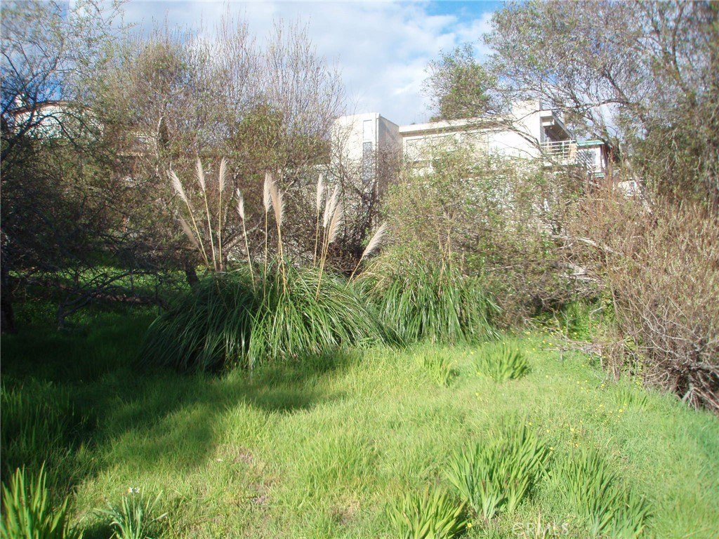 Picture 7