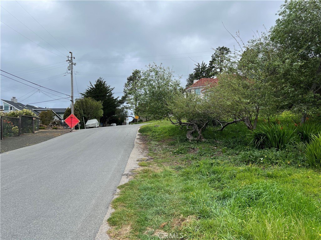 Picture 9