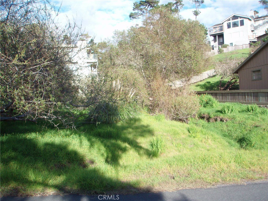 Picture 6
