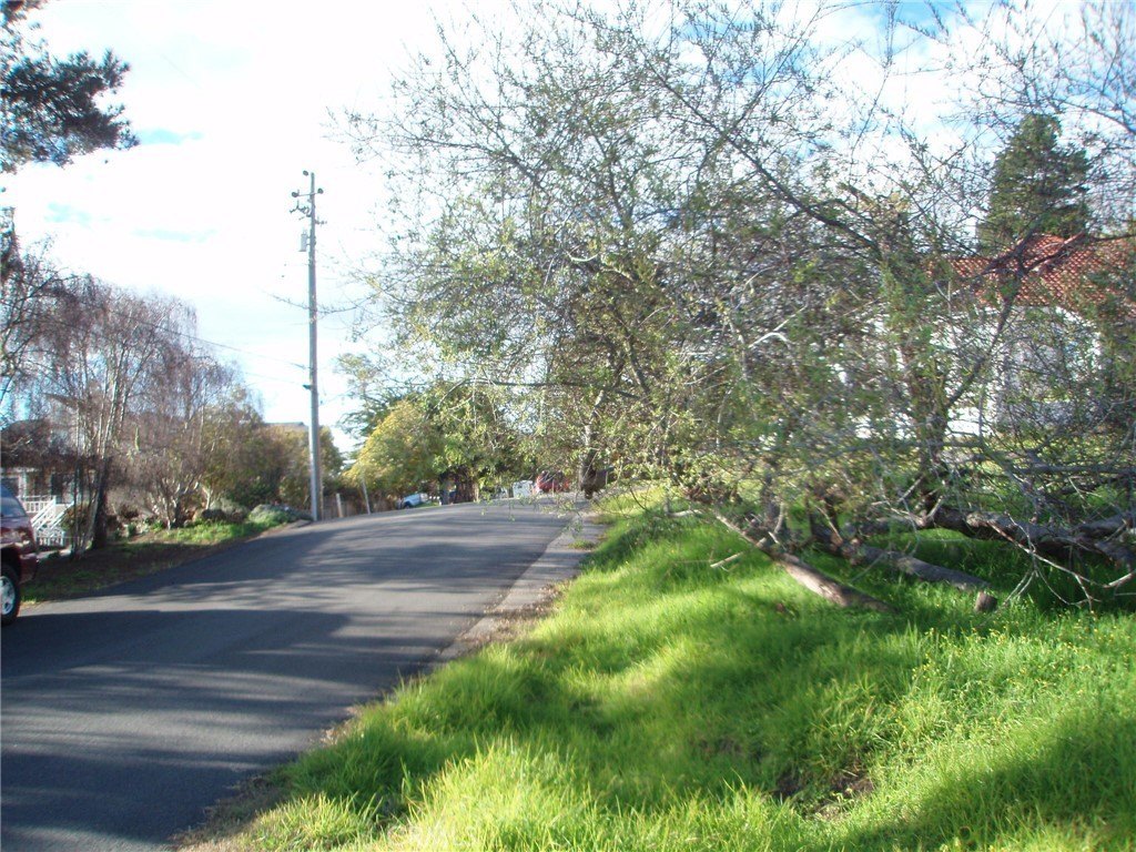 Picture 8