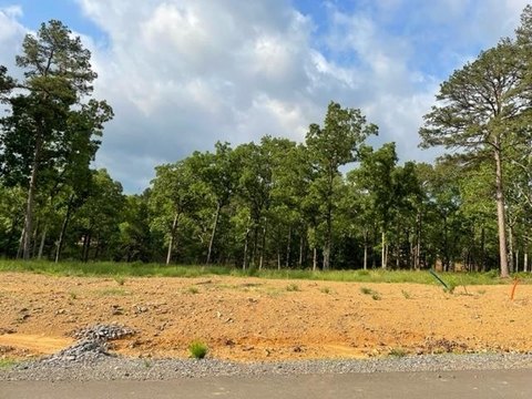 Residential Land in Conway, AR