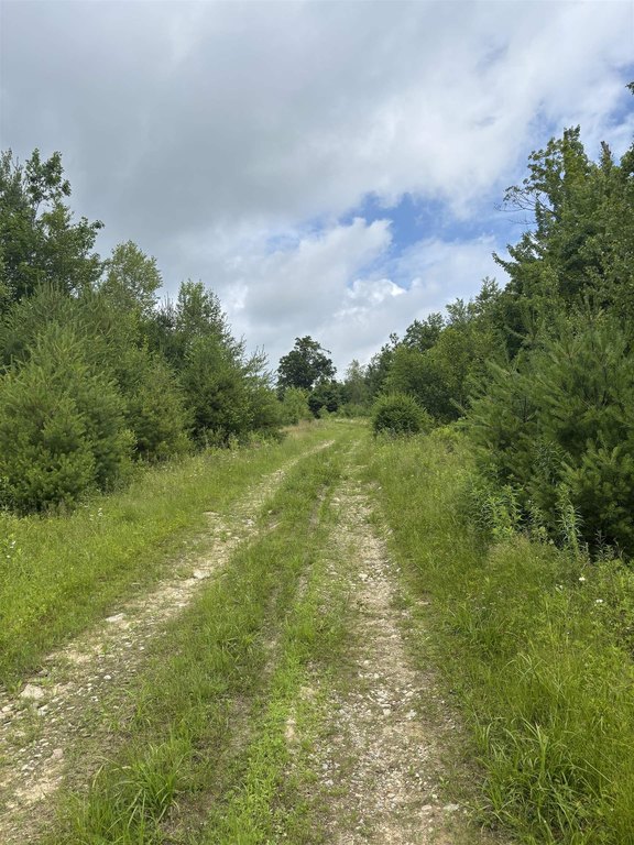 Picture 2