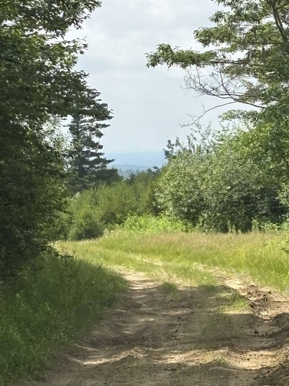 Picture 5