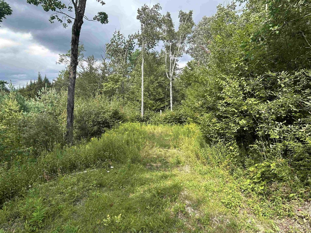 Picture 7