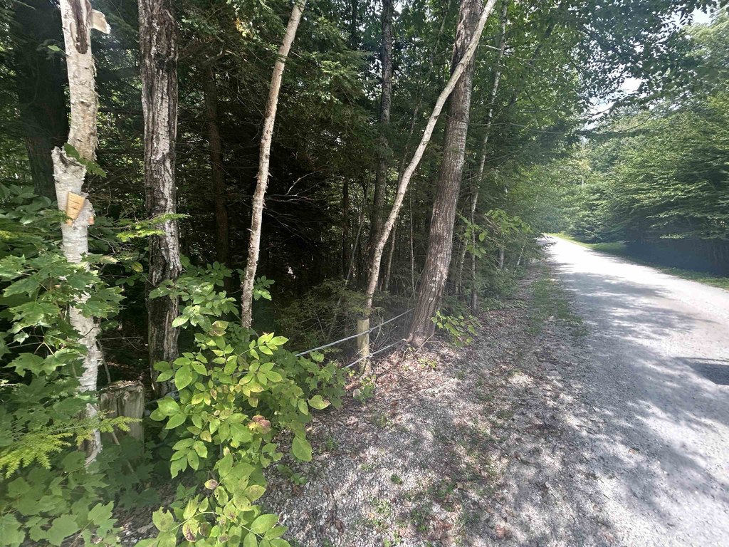 Picture 4