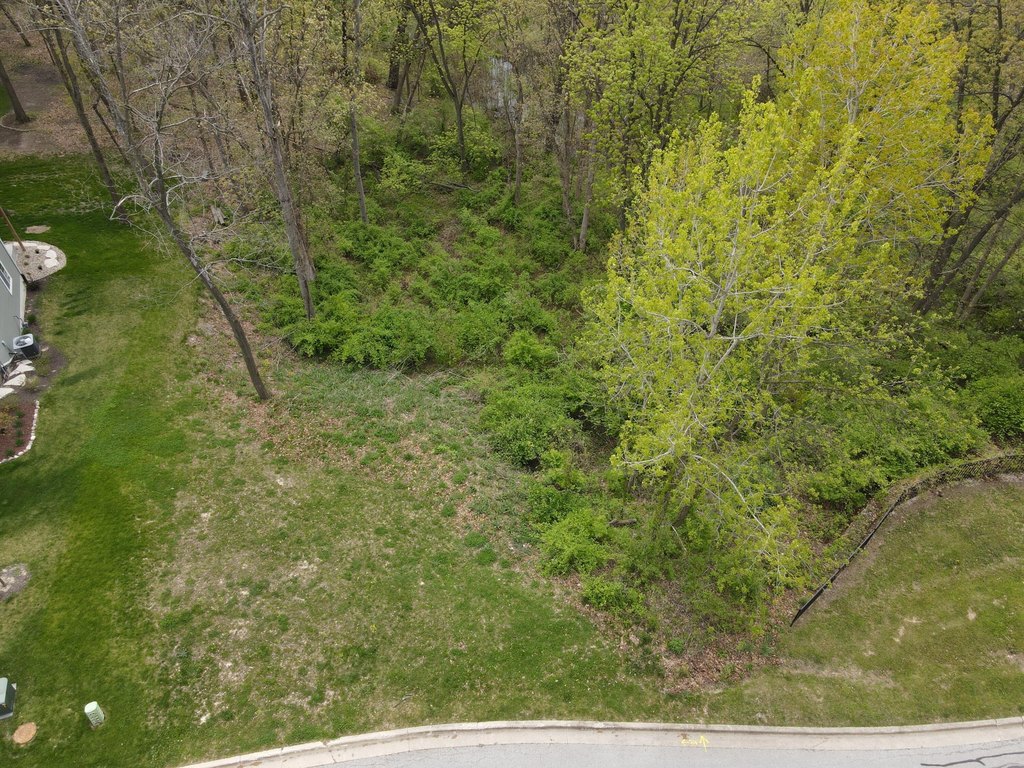 Picture 3