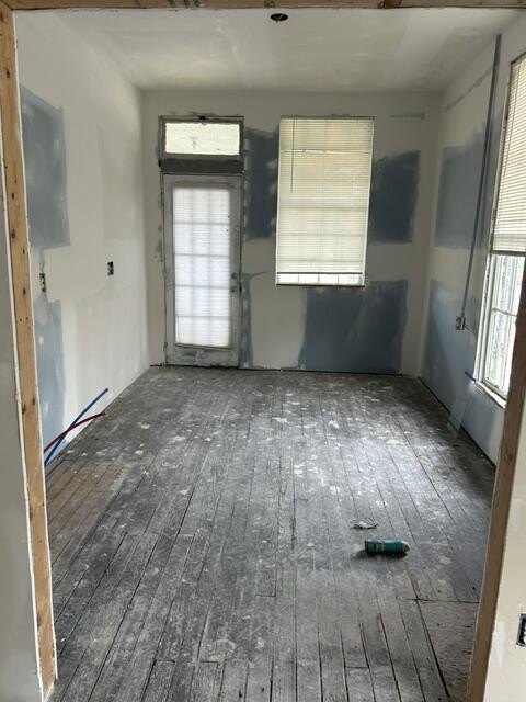 Picture 19