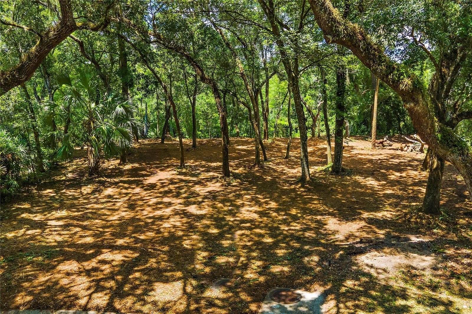Riverfront Lot in Temple Terrace