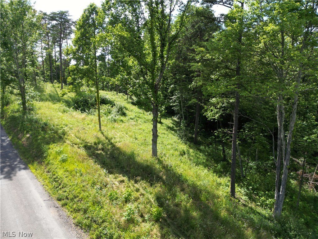 Picture 9