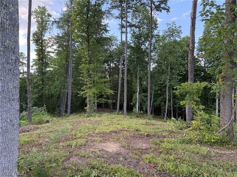 LAND - Fleming, OH