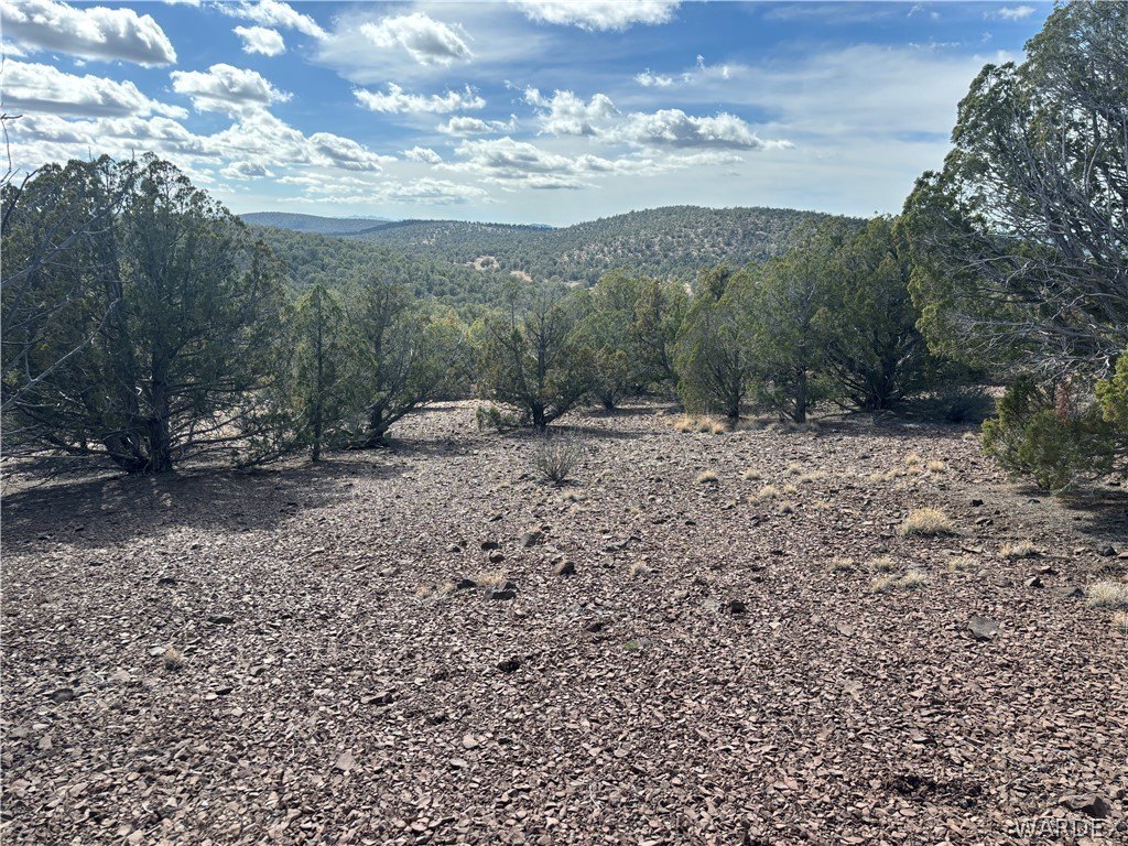 158.7 Acres in Kingman, AZ