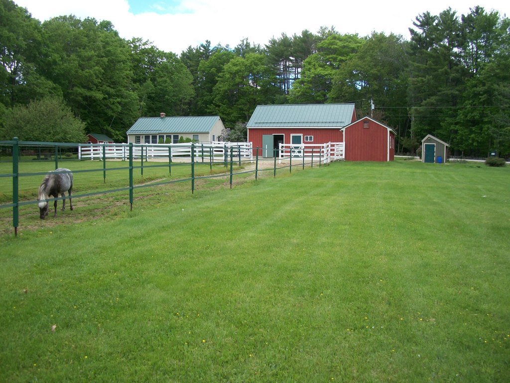Picture 11