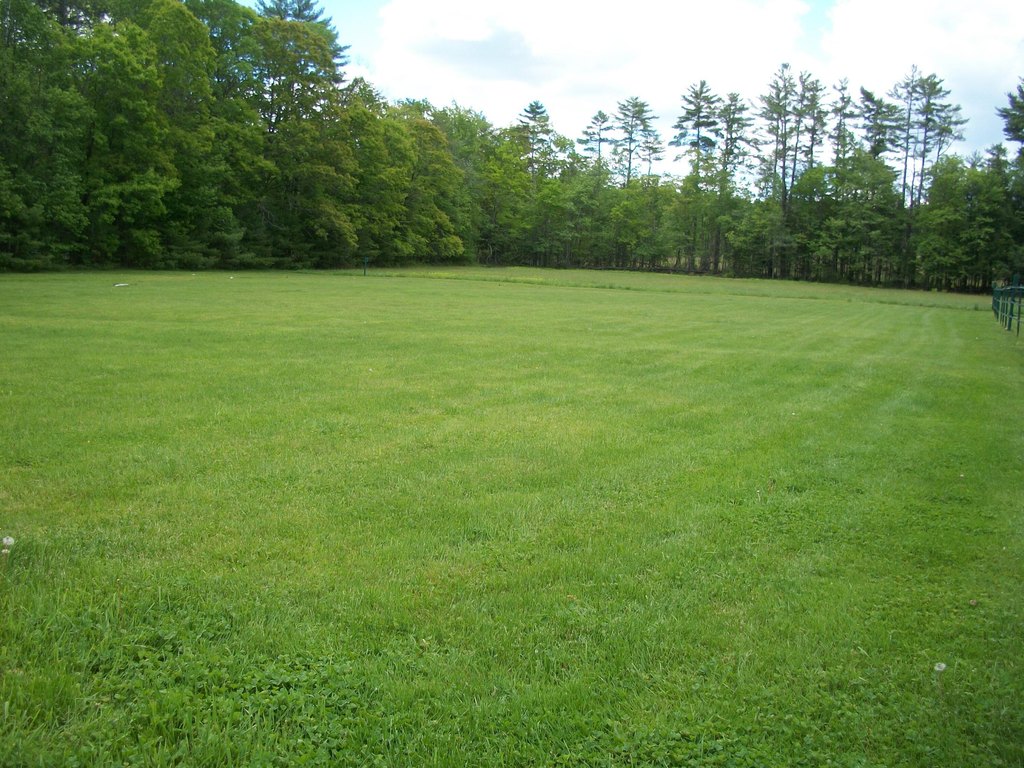 Picture 4