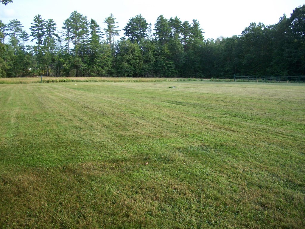 Picture 12