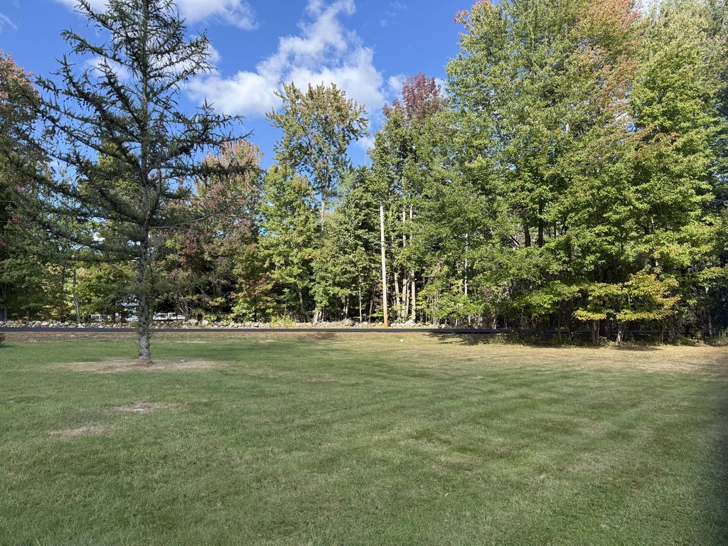 Picture 13
