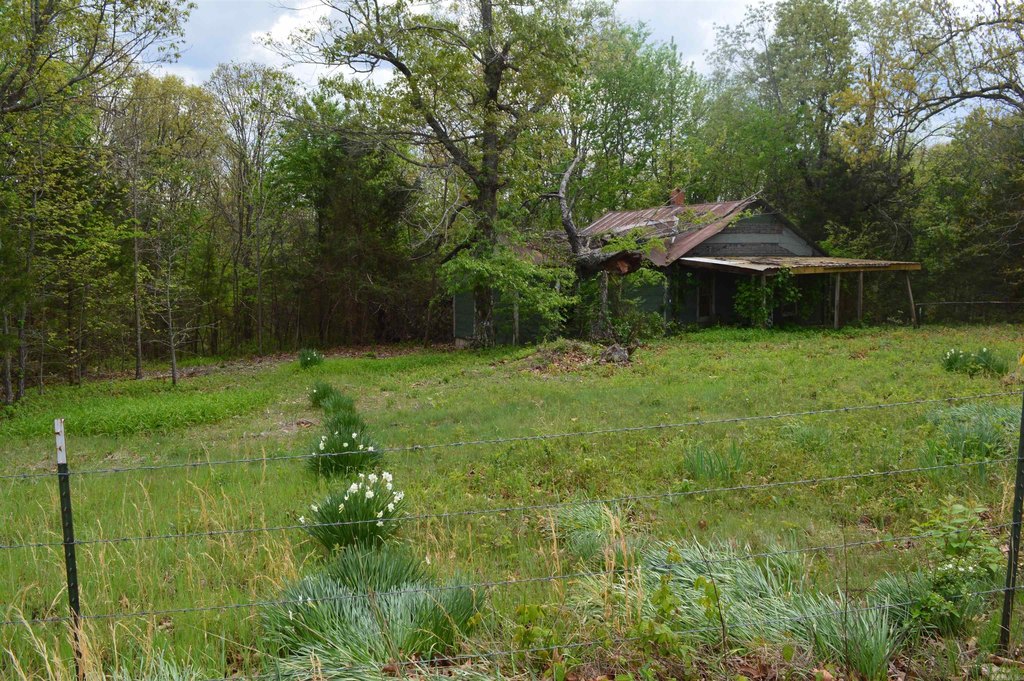 Picture 6