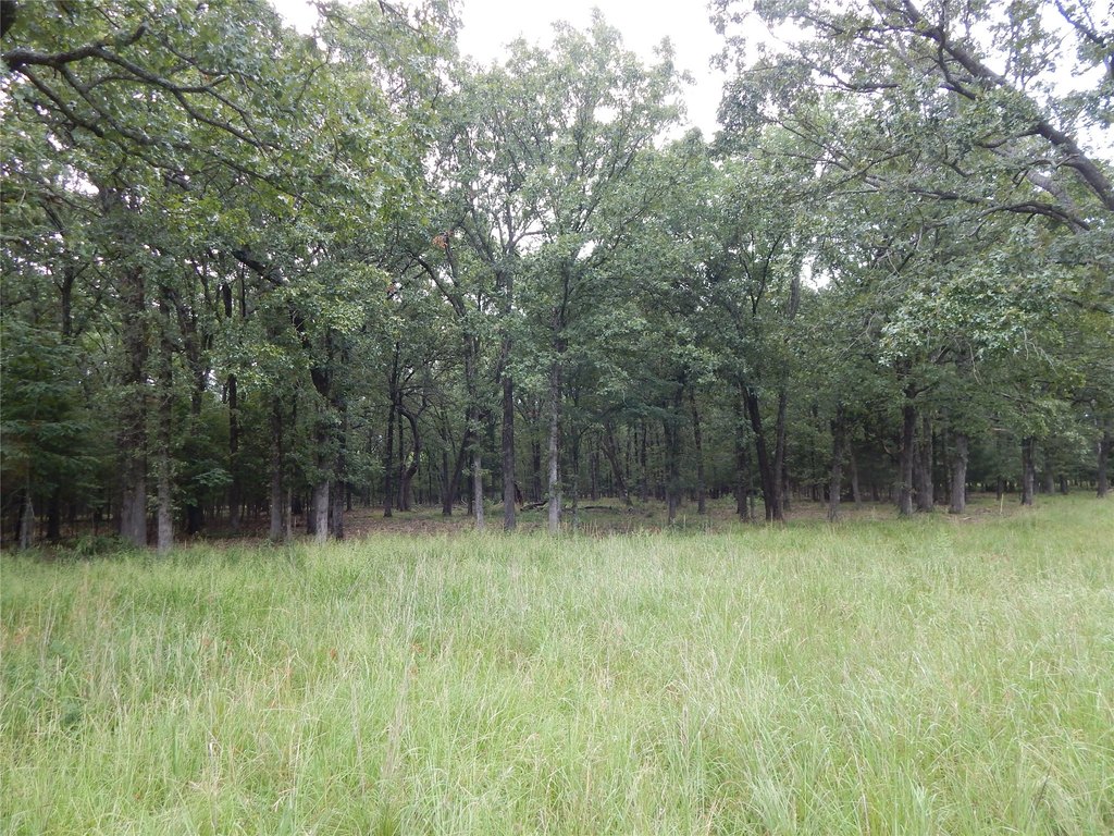 Picture 16