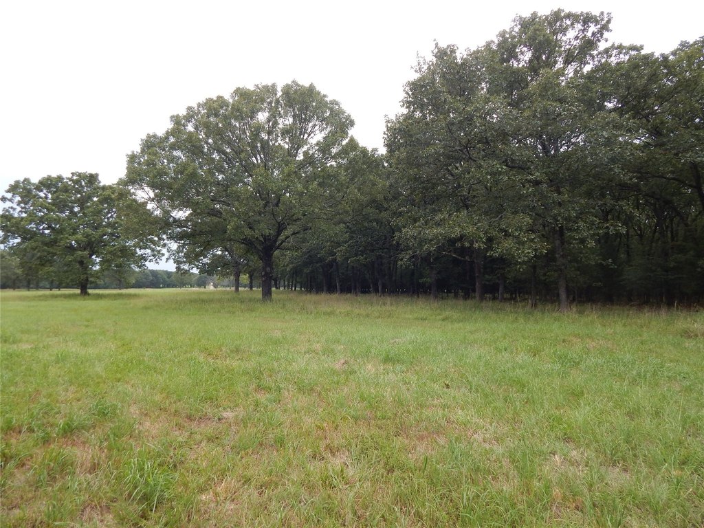 Picture 18