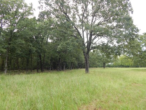 Bagwell, TX Unimproved Land