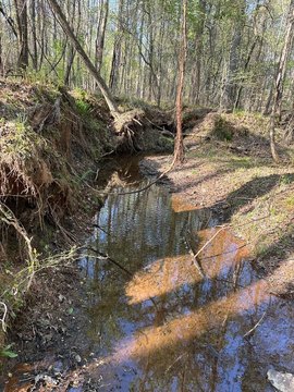 Waverly Hall Land For Sale