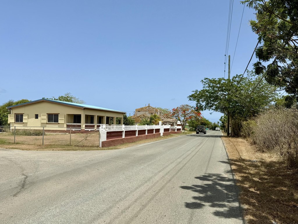 Picture 6