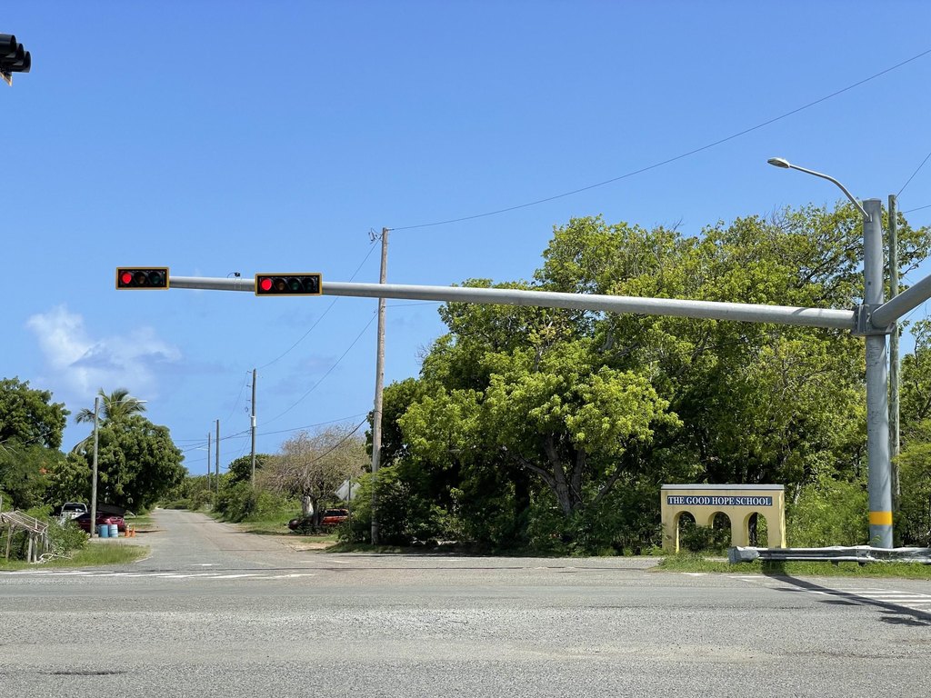 Picture 8