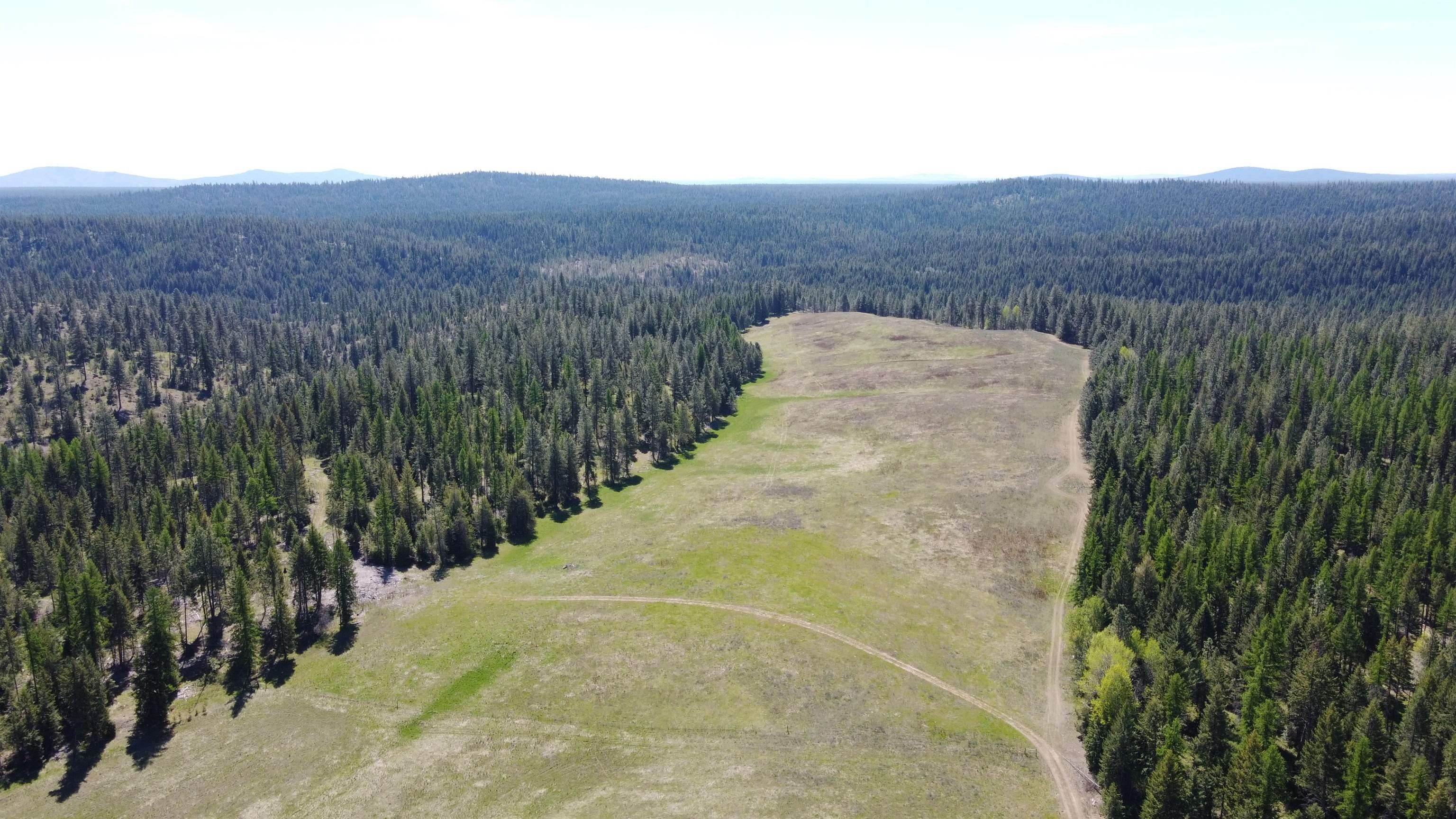 20.1 Acres with Mountain Views