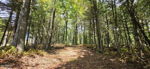 Land, Narrowsburg, NY, NY