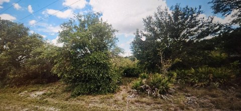 LAND - Lehigh Acres, FL