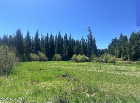 5 Acres on Santa Creek