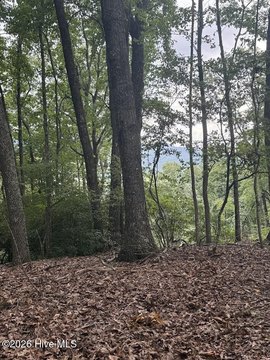 Land, Murphy, NC