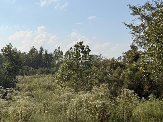Picture 22