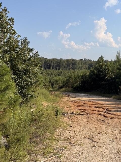 Picture 25