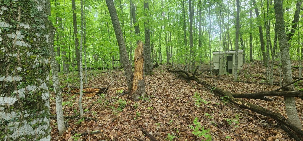 Picture 6
